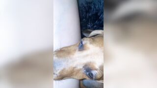 [1358 of 3935 Vids] Bree Louise (bree_louisexoxo aka breebbydance) OnlyFans Leaks Nude