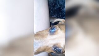 [1358 of 3935 Vids] Bree Louise (bree_louisexoxo aka breebbydance) OnlyFans Leaks Nude