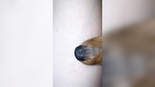 [1358 of 3935 Vids] Bree Louise (bree_louisexoxo aka breebbydance) OnlyFans Leaks Nude