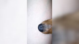 [1358 of 3935 Vids] Bree Louise (bree_louisexoxo aka breebbydance) OnlyFans Leaks Nude