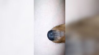 [1358 of 3935 Vids] Bree Louise (bree_louisexoxo aka breebbydance) OnlyFans Leaks Nude