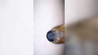 [1358 of 3935 Vids] Bree Louise (bree_louisexoxo aka breebbydance) OnlyFans Leaks Nude