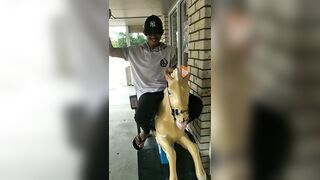 [1368 of 3935 Vids] Bree Louise (bree_louisexoxo aka breebbydance) OnlyFans Leaks Nude