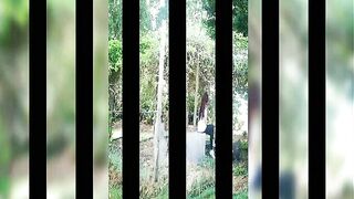 [1377 of 3935 Vids] Bree Louise (bree_louisexoxo aka breebbydance) OnlyFans Leaks Nude