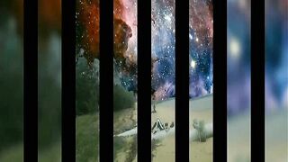 [1377 of 3935 Vids] Bree Louise (bree_louisexoxo aka breebbydance) OnlyFans Leaks Nude