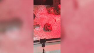 [1406 of 3935 Vids] Bree Louise (bree_louisexoxo aka breebbydance) OnlyFans Leaks Nude