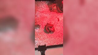 [1406 of 3935 Vids] Bree Louise (bree_louisexoxo aka breebbydance) OnlyFans Leaks Nude