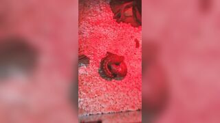 [1406 of 3935 Vids] Bree Louise (bree_louisexoxo aka breebbydance) OnlyFans Leaks Nude