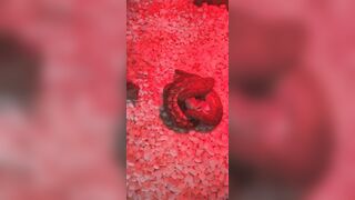 [1406 of 3935 Vids] Bree Louise (bree_louisexoxo aka breebbydance) OnlyFans Leaks Nude