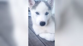 [1427 of 3935 Vids] Bree Louise (bree_louisexoxo aka breebbydance) OnlyFans Leaks Nude