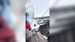 [1427 of 3935 Vids] Bree Louise (bree_louisexoxo aka breebbydance) OnlyFans Leaks Nude