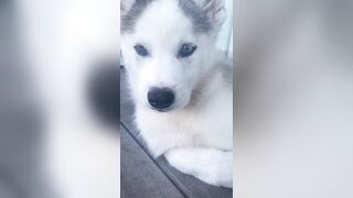 [1427 of 3935 Vids] Bree Louise (bree_louisexoxo aka breebbydance) OnlyFans Leaks Nude