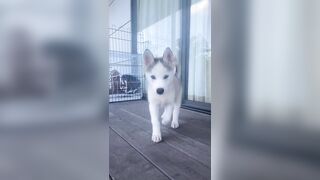 [1427 of 3935 Vids] Bree Louise (bree_louisexoxo aka breebbydance) OnlyFans Leaks Nude