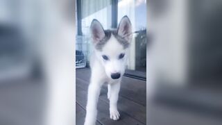 [1427 of 3935 Vids] Bree Louise (bree_louisexoxo aka breebbydance) OnlyFans Leaks Nude