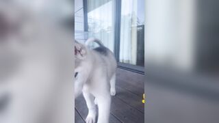 [1427 of 3935 Vids] Bree Louise (bree_louisexoxo aka breebbydance) OnlyFans Leaks Nude