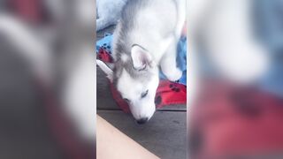 [1427 of 3935 Vids] Bree Louise (bree_louisexoxo aka breebbydance) OnlyFans Leaks Nude