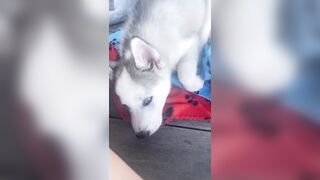 [1427 of 3935 Vids] Bree Louise (bree_louisexoxo aka breebbydance) OnlyFans Leaks Nude