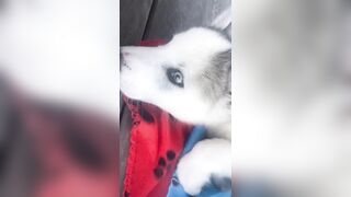 [1427 of 3935 Vids] Bree Louise (bree_louisexoxo aka breebbydance) OnlyFans Leaks Nude