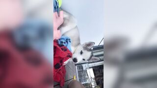 [1427 of 3935 Vids] Bree Louise (bree_louisexoxo aka breebbydance) OnlyFans Leaks Nude