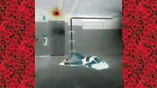 [1477 of 3935 Vids] Bree Louise (bree_louisexoxo aka breebbydance) OnlyFans Leaks Nude