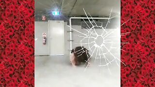 [1477 of 3935 Vids] Bree Louise (bree_louisexoxo aka breebbydance) OnlyFans Leaks Nude