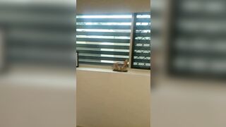 [1493 of 3935 Vids] Bree Louise (bree_louisexoxo aka breebbydance) OnlyFans Leaks Nude