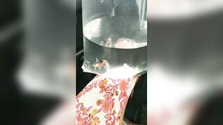 [1519 of 3935 Vids] Bree Louise (bree_louisexoxo aka breebbydance) OnlyFans Leaks Nude