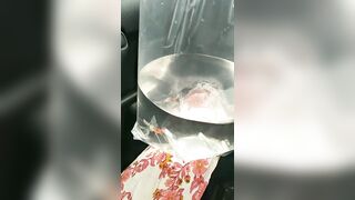 [1519 of 3935 Vids] Bree Louise (bree_louisexoxo aka breebbydance) OnlyFans Leaks Nude