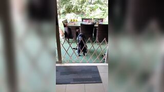 [1583 of 3935 Vids] Bree Louise (bree_louisexoxo aka breebbydance) OnlyFans Leaks Nude