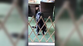 [1583 of 3935 Vids] Bree Louise (bree_louisexoxo aka breebbydance) OnlyFans Leaks Nude