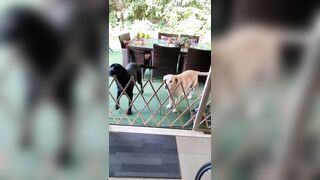 [1583 of 3935 Vids] Bree Louise (bree_louisexoxo aka breebbydance) OnlyFans Leaks Nude