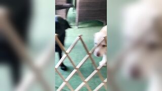 [1583 of 3935 Vids] Bree Louise (bree_louisexoxo aka breebbydance) OnlyFans Leaks Nude