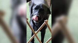 [1583 of 3935 Vids] Bree Louise (bree_louisexoxo aka breebbydance) OnlyFans Leaks Nude