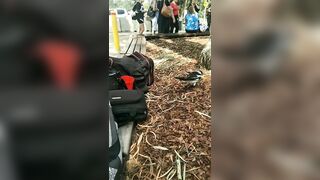 [1708 of 3935 Vids] Bree Louise (bree_louisexoxo aka breebbydance) OnlyFans Leaks Nude