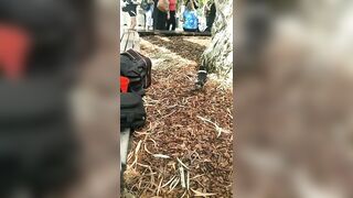 [1708 of 3935 Vids] Bree Louise (bree_louisexoxo aka breebbydance) OnlyFans Leaks Nude