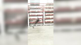 [171 of 3935 Vids] Bree Louise (bree_louisexoxo aka breebbydance) OnlyFans Leaks Nude