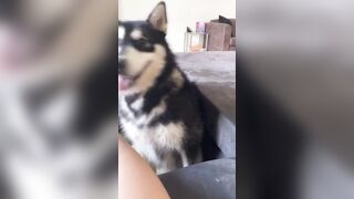 [1781 of 3935 Vids] Bree Louise (bree_louisexoxo aka breebbydance) OnlyFans Leaks Nude