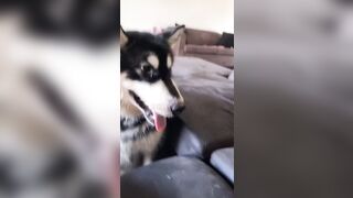 [1781 of 3935 Vids] Bree Louise (bree_louisexoxo aka breebbydance) OnlyFans Leaks Nude