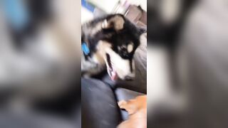 [1781 of 3935 Vids] Bree Louise (bree_louisexoxo aka breebbydance) OnlyFans Leaks Nude