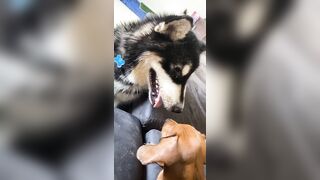 [1781 of 3935 Vids] Bree Louise (bree_louisexoxo aka breebbydance) OnlyFans Leaks Nude