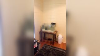 [1803 of 3935 Vids] Bree Louise (bree_louisexoxo aka breebbydance) OnlyFans Leaks Nude