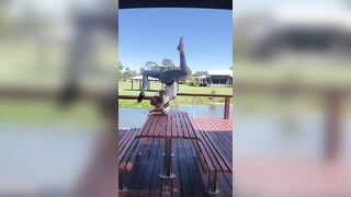 [1804 of 3935 Vids] Bree Louise (bree_louisexoxo aka breebbydance) OnlyFans Leaks Nude