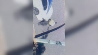 [1822 of 3935 Vids] Bree Louise (bree_louisexoxo aka breebbydance) OnlyFans Leaks Nude