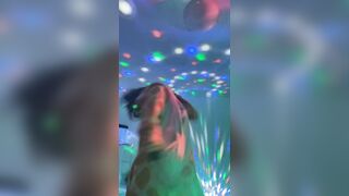 [1823 of 3935 Vids] Bree Louise (bree_louisexoxo aka breebbydance) OnlyFans Leaks Nude