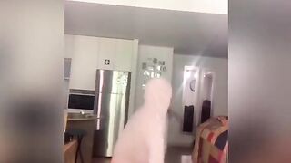 [1829 of 3935 Vids] Bree Louise (bree_louisexoxo aka breebbydance) OnlyFans Leaks Nude