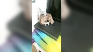 [1837 of 3935 Vids] Bree Louise (bree_louisexoxo aka breebbydance) OnlyFans Leaks Nude