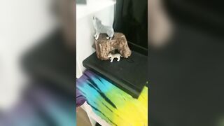 [1837 of 3935 Vids] Bree Louise (bree_louisexoxo aka breebbydance) OnlyFans Leaks Nude