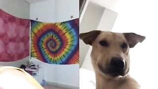 [1902 of 3935 Vids] Bree Louise (bree_louisexoxo aka breebbydance) OnlyFans Leaks Nude