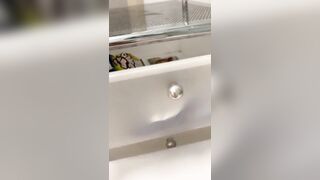 [1942 of 3935 Vids] Bree Louise (bree_louisexoxo aka breebbydance) OnlyFans Leaks Nude