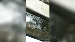 [1962 of 3935 Vids] Bree Louise (bree_louisexoxo aka breebbydance) OnlyFans Leaks Nude